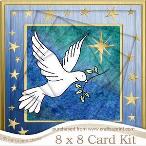 8 x 8 Xmas Dove Twisted Tunnel Card Kit