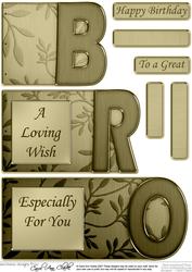 Bro Elegant Metallic Book Sheet