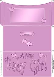 New Baby Girl Money or Gift Wallet and Card