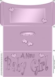 New Baby Girl Money or Gift Wallet and Card