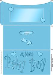 New Baby Boy Money or Gift Wallet and Card