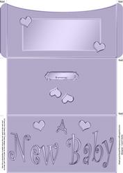New Baby Money or Gift Wallet and Card