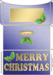 Elegant Christmas Holly Money or Gift Wallet and Card