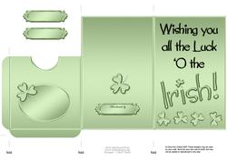 Luck 'o the Irish Lottery Wallet Card