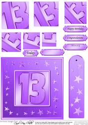 13th Bright Metallic Age Quick Card with Twisted Pyramage