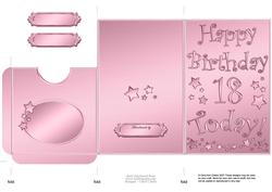18th Birthday Metallic Age Lottery or Gift Token Wallet Car