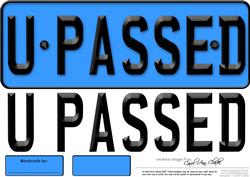 Large Dl You Passed Novelty Number Plate N 3D Decoupage