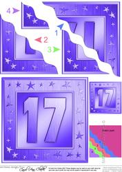 17th Bright Metallic Age Quick Card with Twisted Pyramage