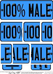 100% Male Novelty Number Plate with Side Stacker