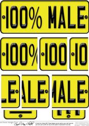 100% Male Novelty Number Plate with Side Stacker