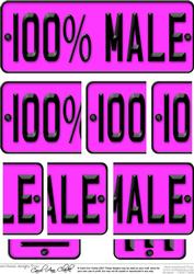 100% Male Novelty Number Plate with Side Stacker