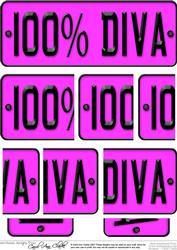 100% Diva Novelty Number Plate with Side Stacker