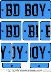 Birthday Boy Novelty Number Plate with Side Stacker