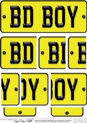 Birthday Boy Novelty Number Plate with Side Stacker