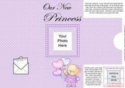 Add a Photo New Baby Girl with Easy Fold Frame