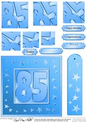 85th Bright Metallic Age Quick Card with Twisted Pyramage
