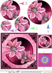 Clematis Quick Card with Circle Pyramage