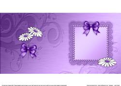 Daisies and Metallic Lace Matching Insert Square Portrait