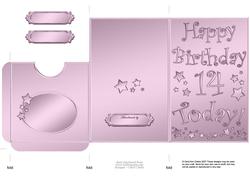 14th Birthday Metallic Age Lottery or Gift Token Wallet Card