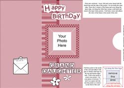 Add a Photo Birthday Granddaughter with Easy Fold Frame