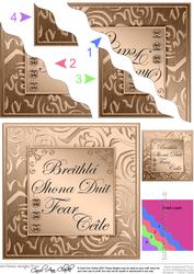 Elegant Metallic Irish Gaelic Birthday Husband Wavy Corner