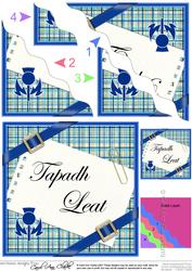 Scottish Tartan Thank You Wavy Corner
