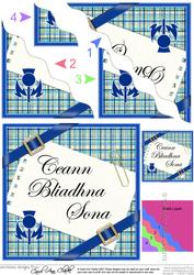 Scottish Tartan Anniversary Wavy Corner