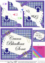 Scottish Tartan Anniversary Wavy Corner