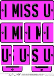 I Miss You Novelty Number Plate with Side Stacker