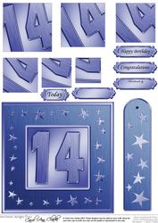 14th Bright Metallic Age Quick Card with Twisted Pyramage