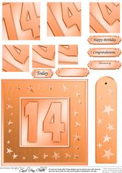 14th Bright Metallic Age Quick Card with Twisted Pyramage