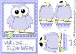 A5 What a Hoot Owl Birthday Oval Pyramage Topper