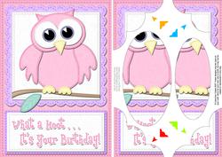 A5 What a Hoot Owl Birthday Scallop Corners and Pyramage