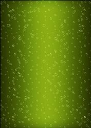 Champers Label Matching Backing Paper