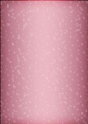 Pink Champers Label Matching Backing Paper