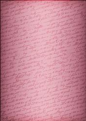 Pink Champers Label Matching Backing Paper