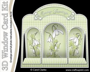 3D Snowdrops Window Card Kit with Decoupage N Envelope