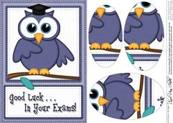 A5 Wise Owl Exam Good Luck Felties Oval Pyramage Topper