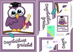 A5 Wise Owl Congratulations Graduate Felties Scallop Corner