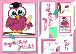 A5 Wise Owl Congratulations Graduate Felties Scallop Corner