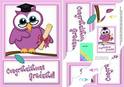 A5 Wise Owl Congratulations Graduate Felties Scallop Corner