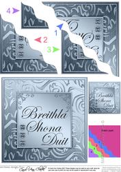 Elegant Metallic Irish Gaelic Happy Birthday to You Wavy Cor