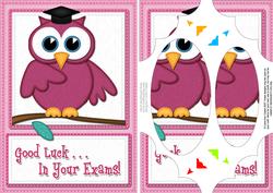 A5 Wise Owl Exam Good Luck Felties Scallop Corners and Pyram