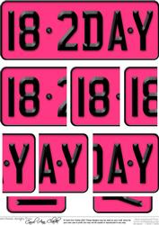 18th Birthday Fun Novelty Number Plate with Side Stacker