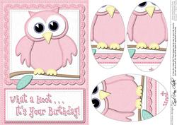 A5 What a Hoot Owl Birthday Oval Pyramage Topper