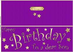 Large Dl Birthday Son Quick Cut and Fold Card