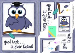 A5 Wise Owl Exam Good Luck Felties Scallop Side Stacker