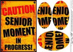 A5 Fun Novelty Senior Moment Oval Pyramage Topper