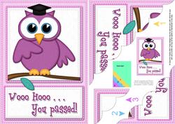 A5 Wise Owl Exam Congrats Felties Scallop Side Stacker