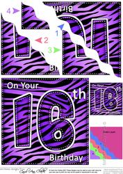 Funky Fun Zebra Print 16th Birthday Wavy Corner Side Stacker